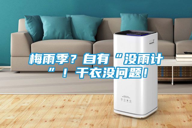 梅雨季？自有“没雨计”！干衣没问题！