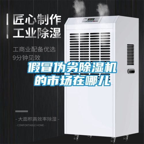 假冒伪劣除湿机的市场在哪儿