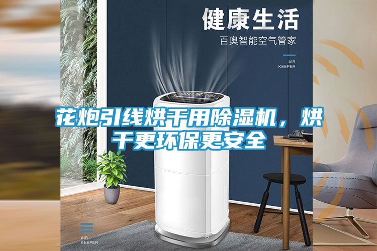 花炮引线烘干用除湿机，烘干更环保更安全