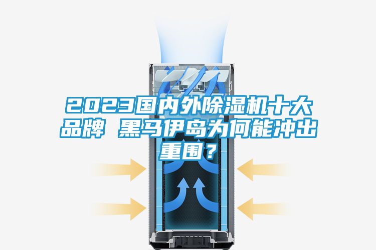2023国内外除湿机十大品牌 黑马伊岛为何能冲出重围?
