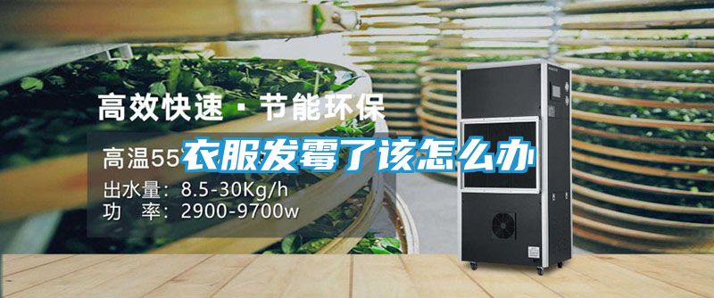 衣服发霉了该怎么办