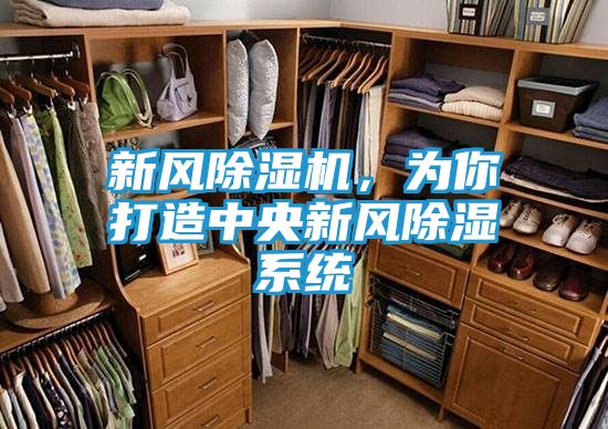 新风除湿机，为你打造中央新风除湿系统
