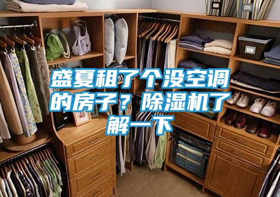 盛夏租了个没空调的房子？除湿机了解一下