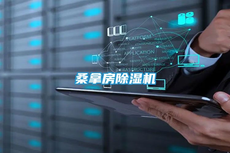 桑拿房除湿机