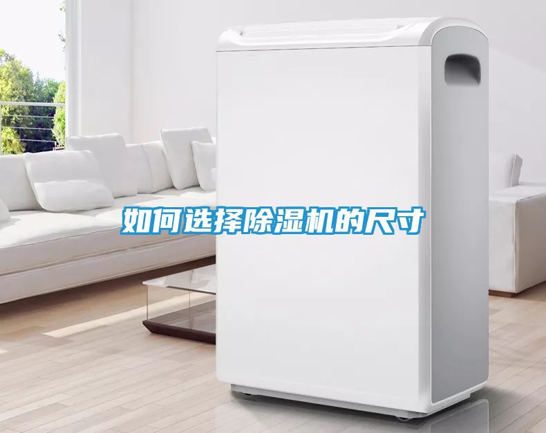 如何选择除湿机的尺寸