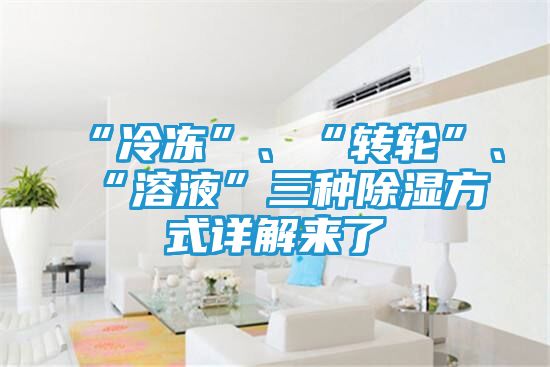 “冷冻”、“转轮”、“溶液”三种除湿方式详解来了