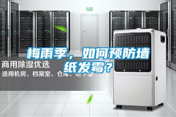 梅雨季,如何预防墙纸发霉?