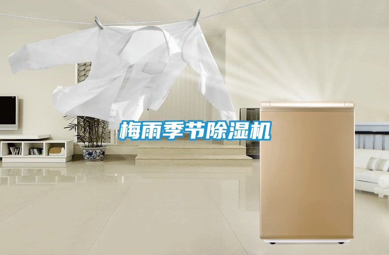 梅雨季节除湿机