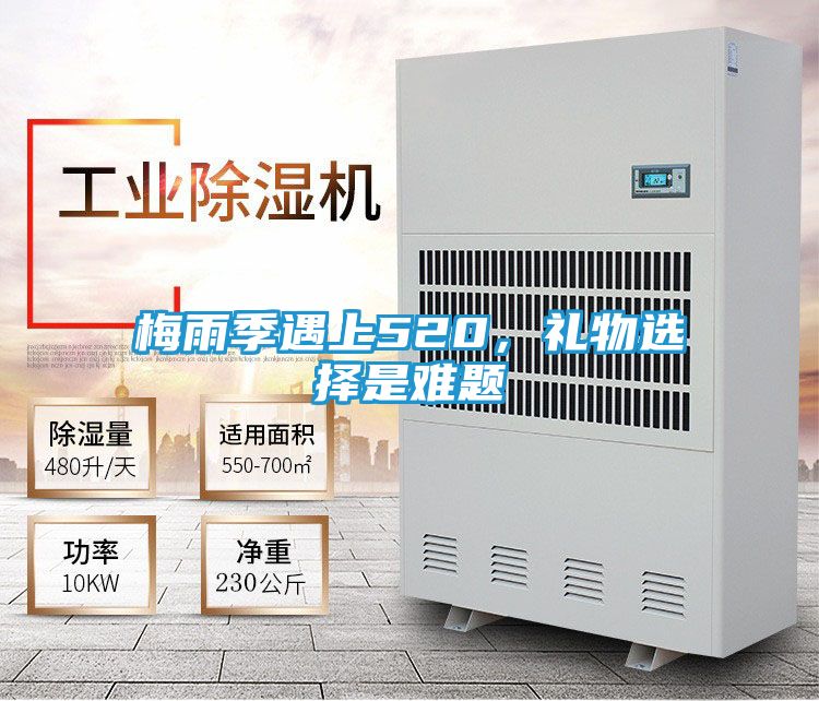 梅雨季遇上520,礼物选择是难题