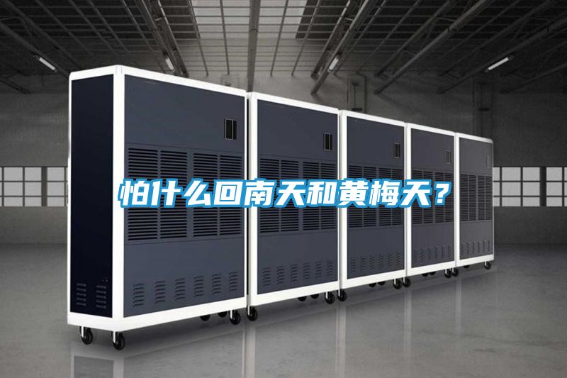 怕什么回南天和黄梅天?