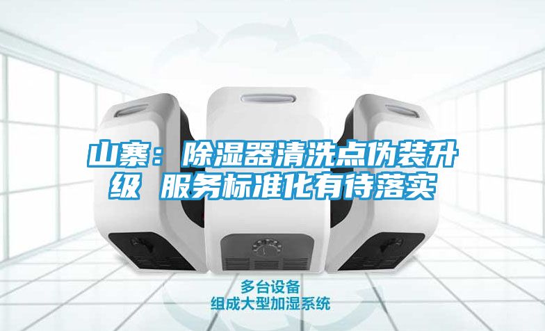 山寨:除湿器清洗点伪装升级 服务标准化有待落实