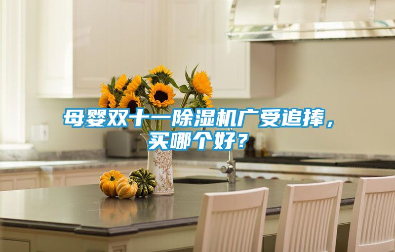 母婴双十一除湿机广受追捧，买哪个好？