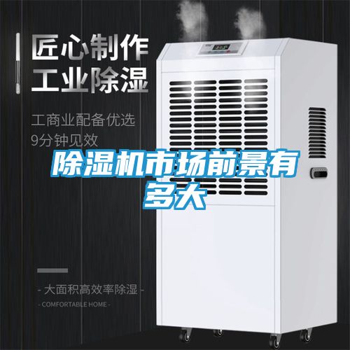 除湿机市场前景有多大