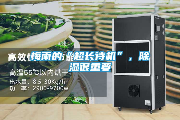 梅雨的“超长待机”，除湿很重要