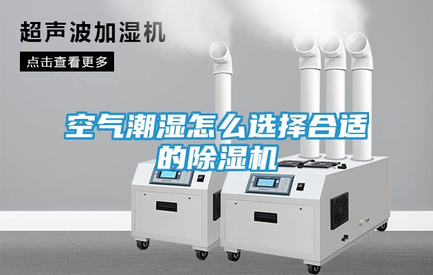 空气潮湿怎么选择合适的除湿机