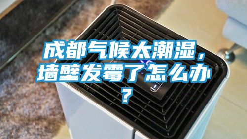 成都气候太潮湿，墙壁发霉了怎么办？