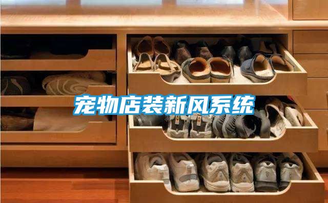 宠物店装新风系统