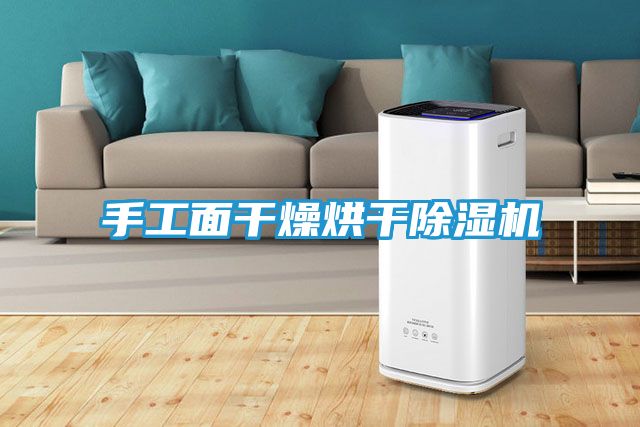 手工面干燥烘干除湿机