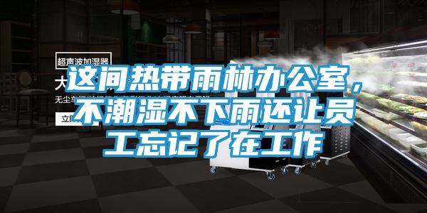 这间热带雨林办公室，不潮湿不下雨还让员工忘记了在工作