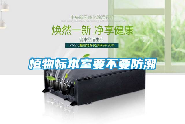 植物标本室要不要防潮
