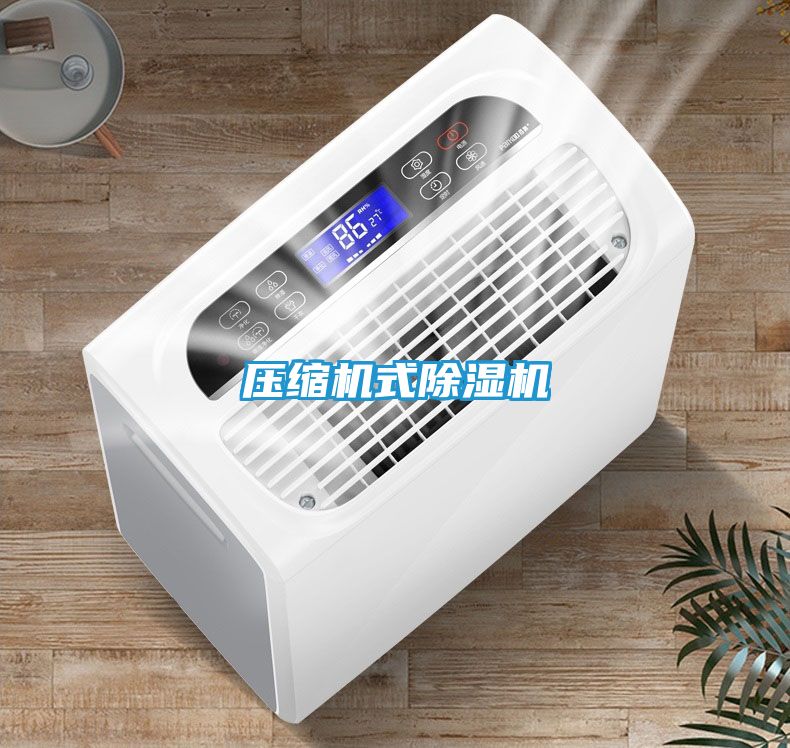压缩机式除湿机