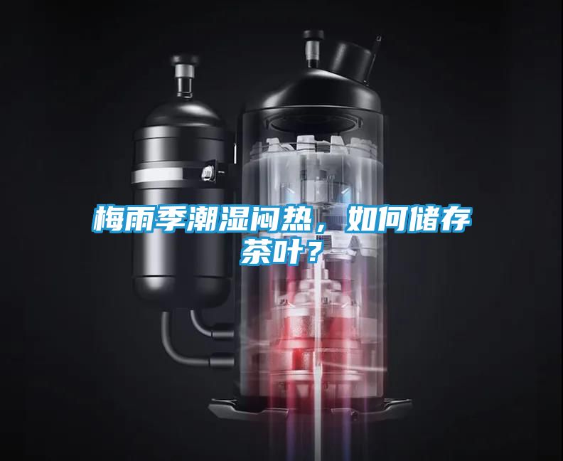 梅雨季潮湿闷热，如何储存茶叶？