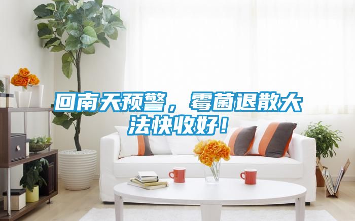 回南天预警,霉菌退散大法快收好!
