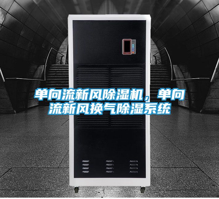 单向流新风除湿机，单向流新风换气除湿系统