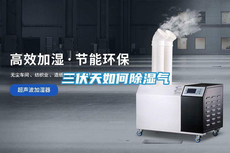 三伏天如何除湿气