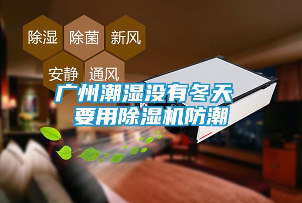 广州潮湿没有冬天 要用除湿机防潮