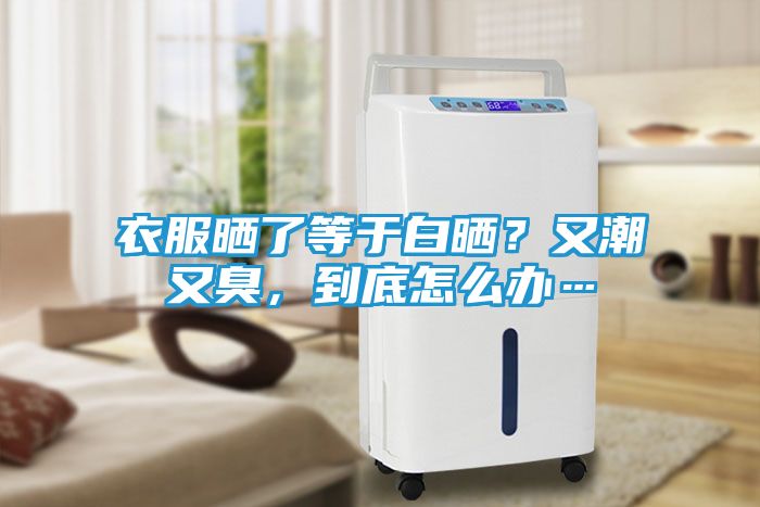 衣服晒了等于白晒？又潮又臭，到底怎么办…