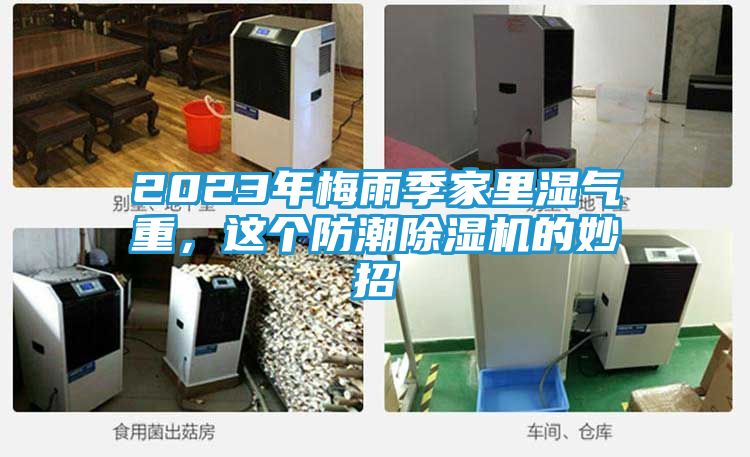 2023年梅雨季家里湿气重，这个防潮除湿机的妙招