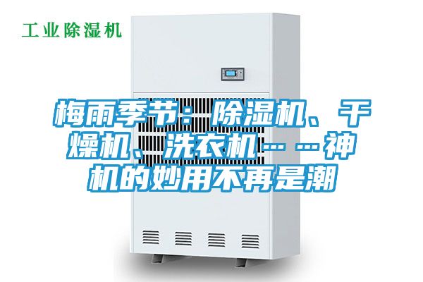 梅雨季节：除湿机、干燥机、洗衣机……神机的妙用不再是潮