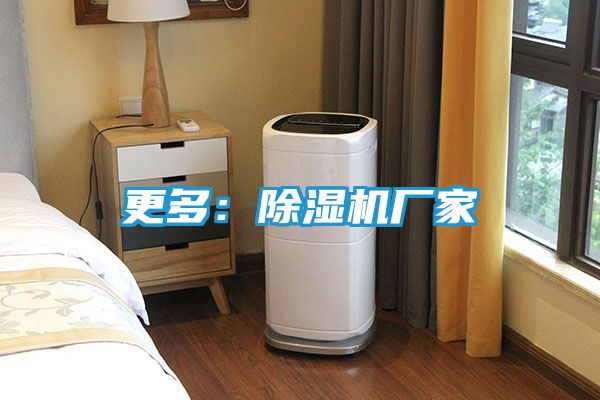 更多：除湿机厂家