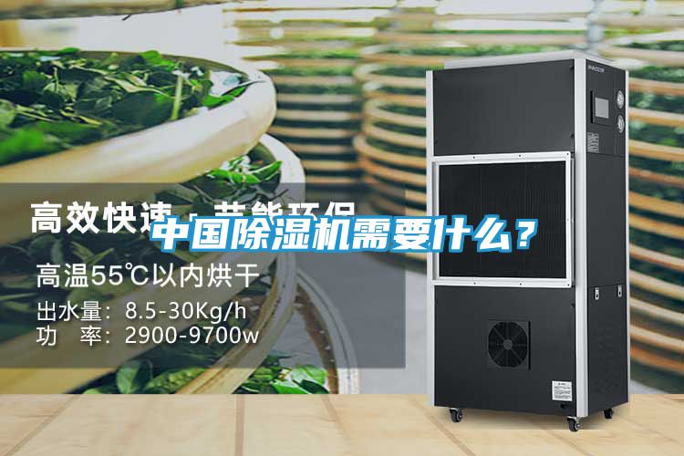 中国除湿机需要什么？