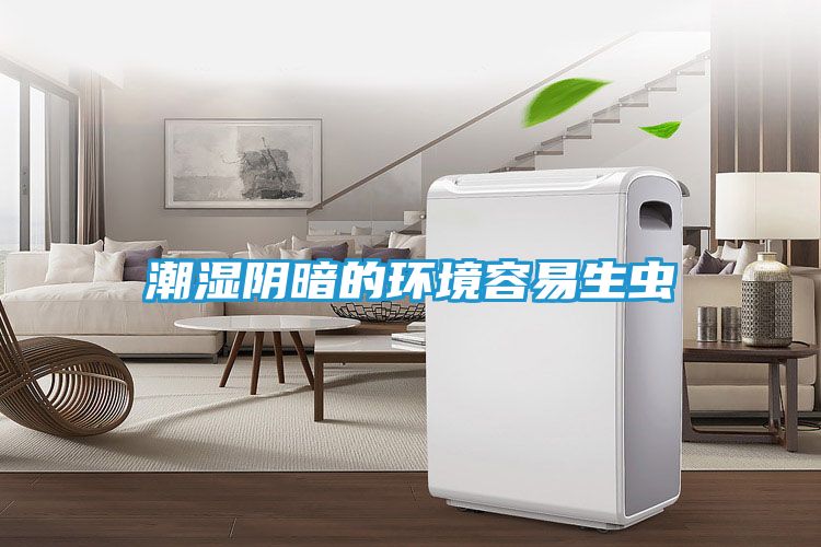 潮湿阴暗的环境容易生虫