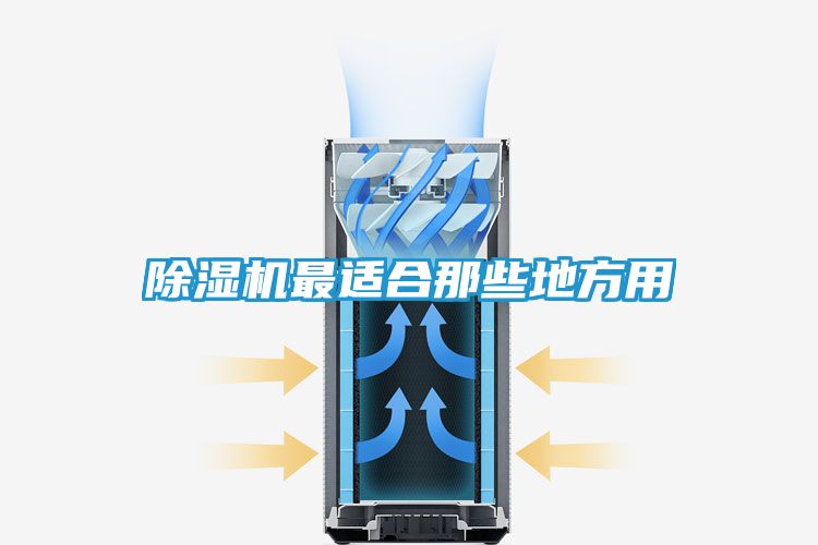 除湿机最适合那些地方用