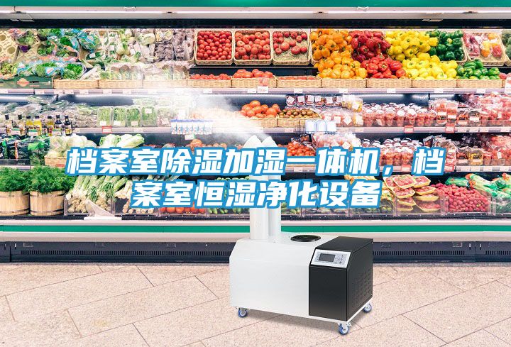 档案室除湿加湿一体机，档案室恒湿净化设备