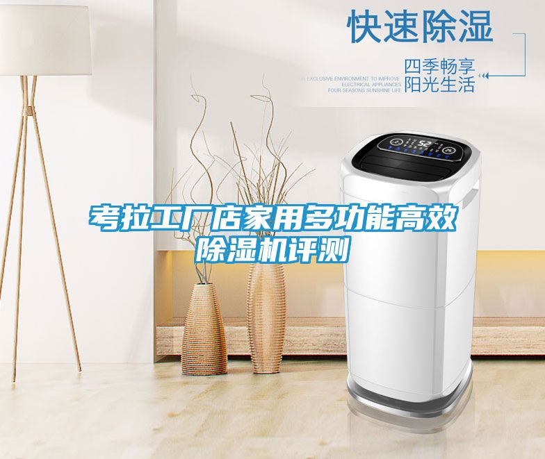 考拉工厂店家用多功能高效除湿机评测