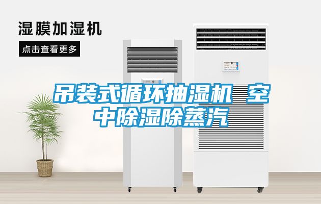 吊装式循环抽湿机 空中除湿除蒸汽