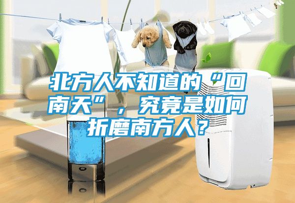 北方人不知道的“回南天”，究竟是如何折磨南方人？