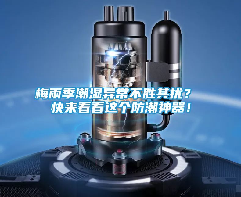 梅雨季潮湿异常不胜其扰？ 快来看看这个防潮神器！