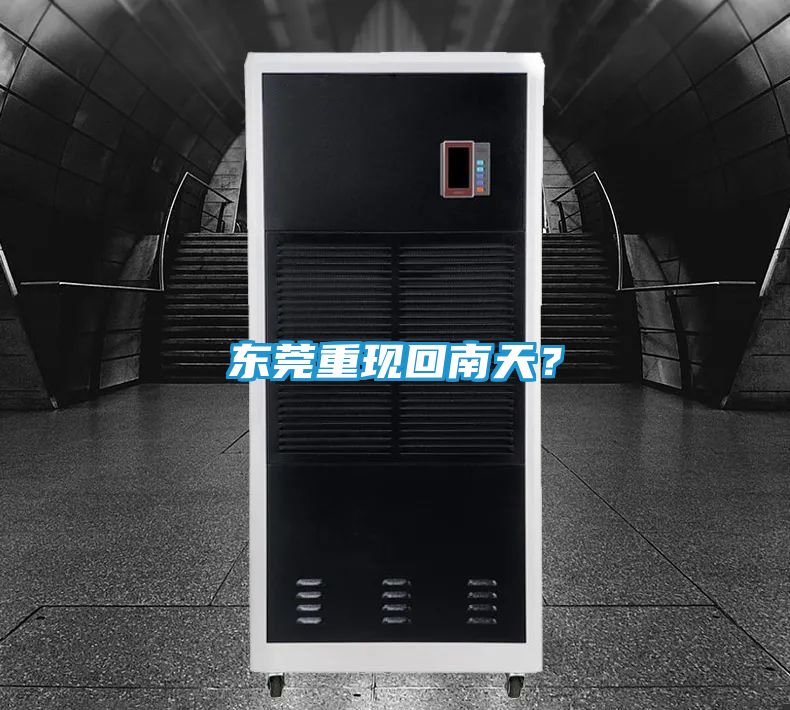 东莞重现回南天？