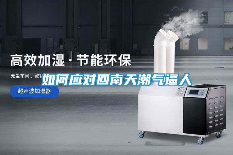 如何应对回南天潮气逼人