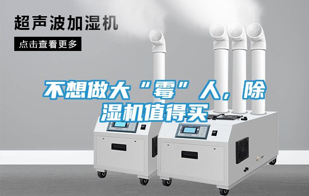 不想做大“霉”人，除湿机值得买