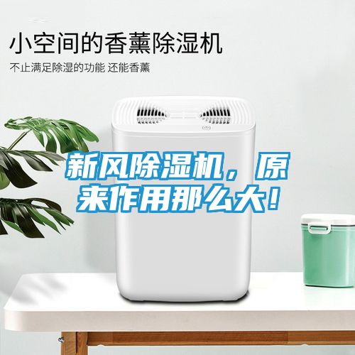 新风除湿机，原来作用那么大！
