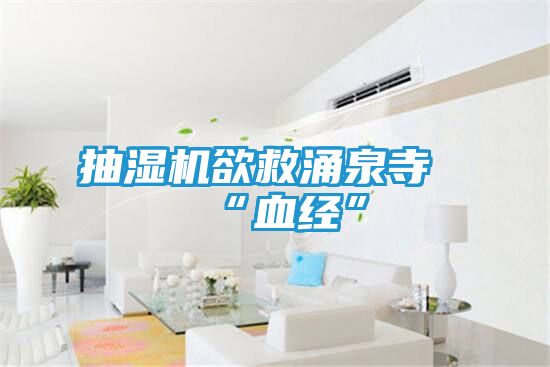 抽湿机欲救涌泉寺“血经”