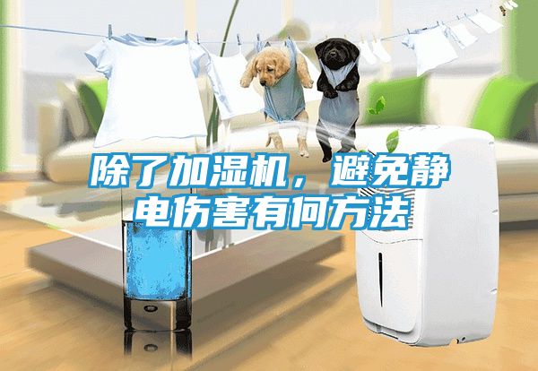 除了加湿机，避免静电伤害有何方法
