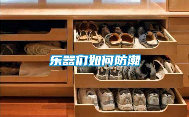 乐器们如何防潮