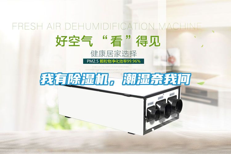 我有除湿机，潮湿奈我何